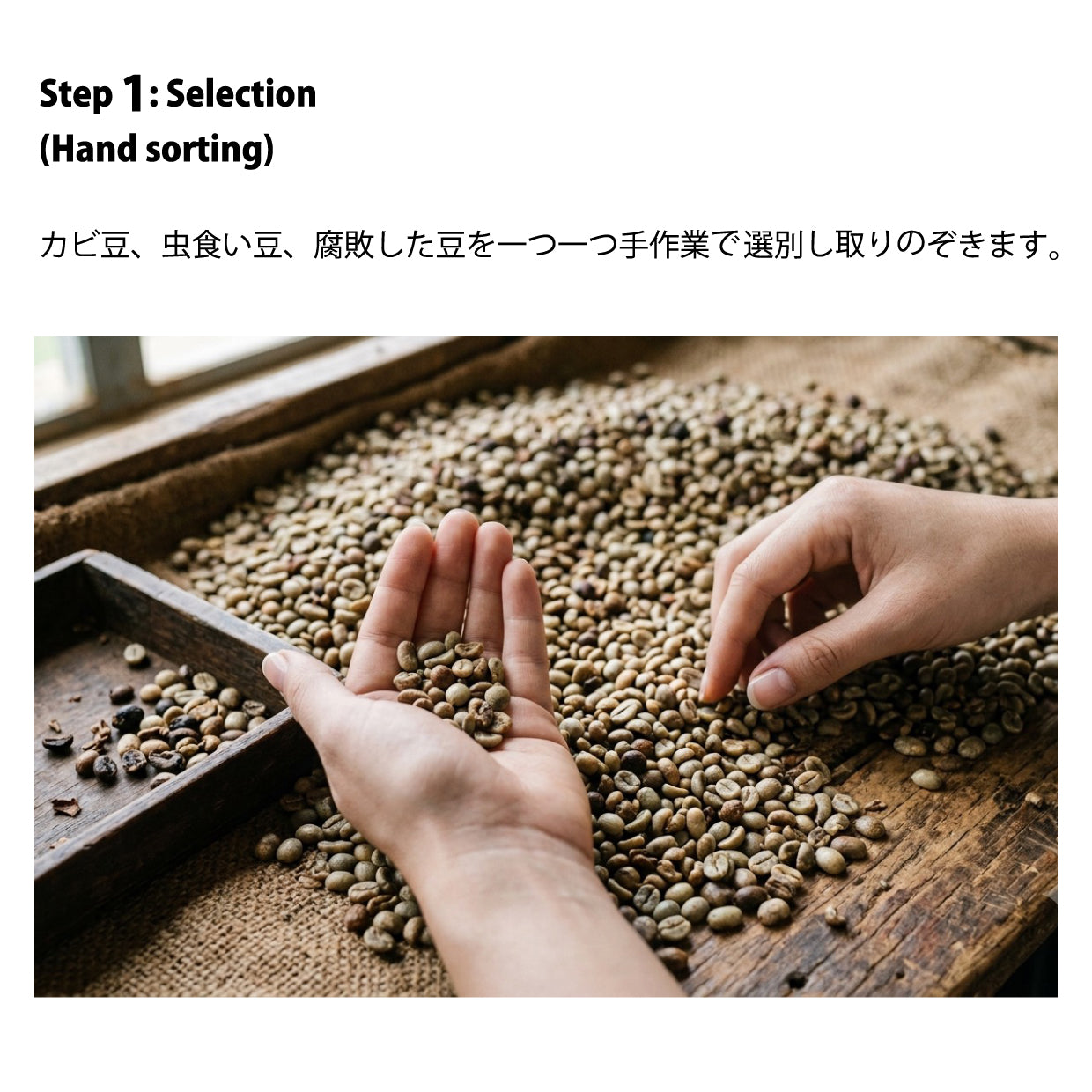 COMING SOON　BBJ60COFFEE 『2 SET』