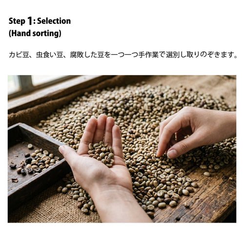 COMING SOON　BBJ60COFFEE 『2 SET』